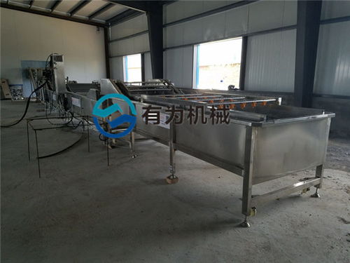 諸城有為公司 深耕蘋果清洗設(shè)備領(lǐng)域，服務(wù)海南與家用市場(chǎng)